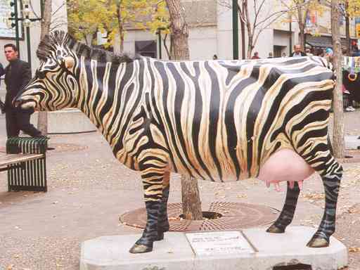 Again another one of those cows